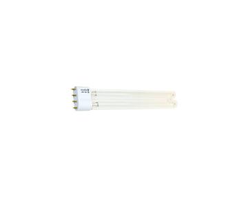 Lampen